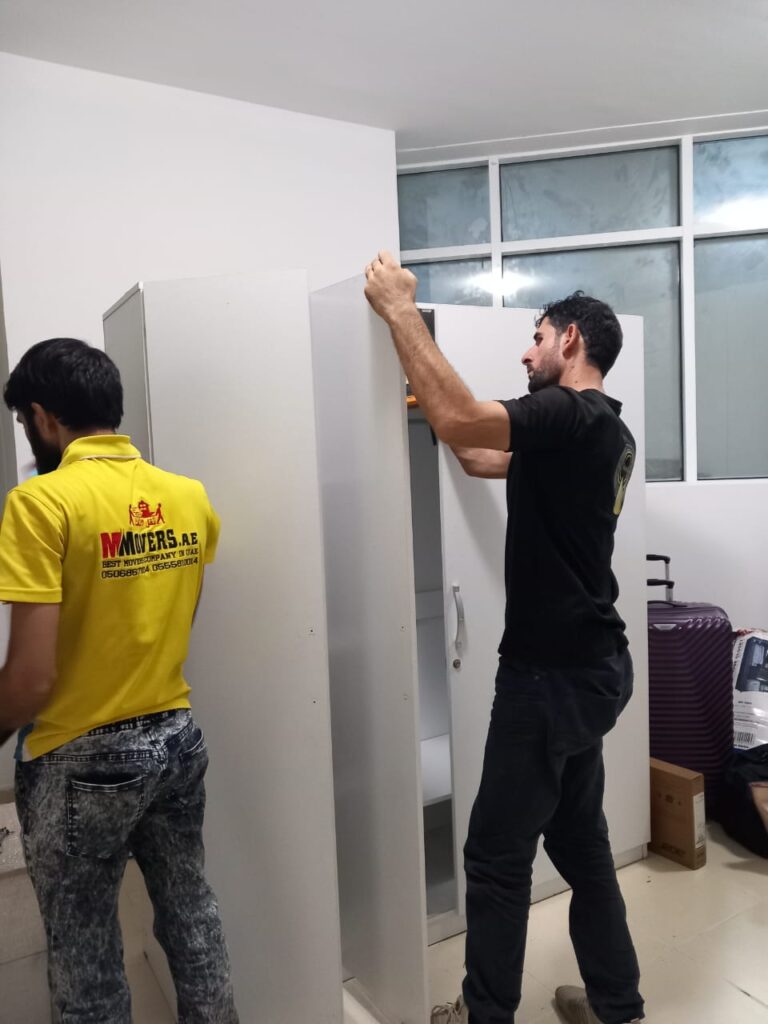 Professional movers in Dubai