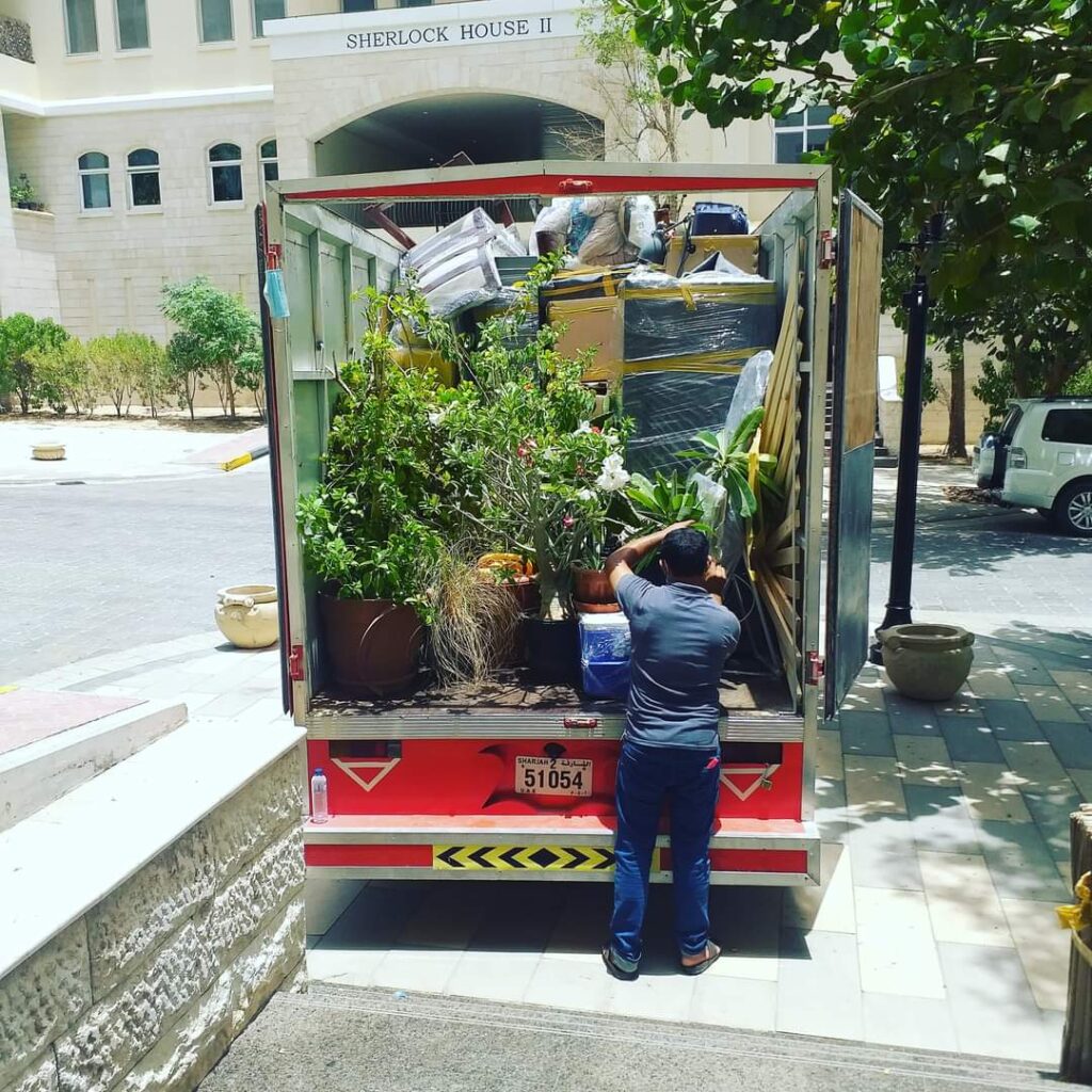 movers and packers in Marina Dubai